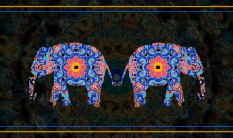 电车全彩漫画,穿梭时空的奇幻之旅